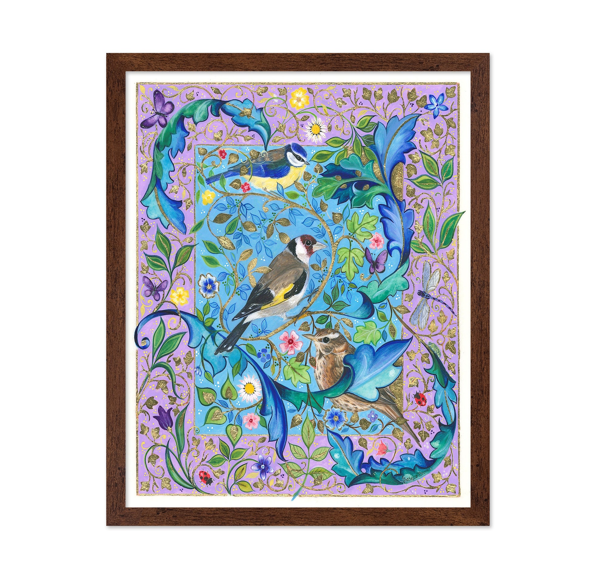 Garden Birds