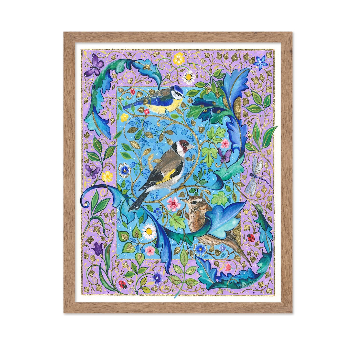 Garden Birds