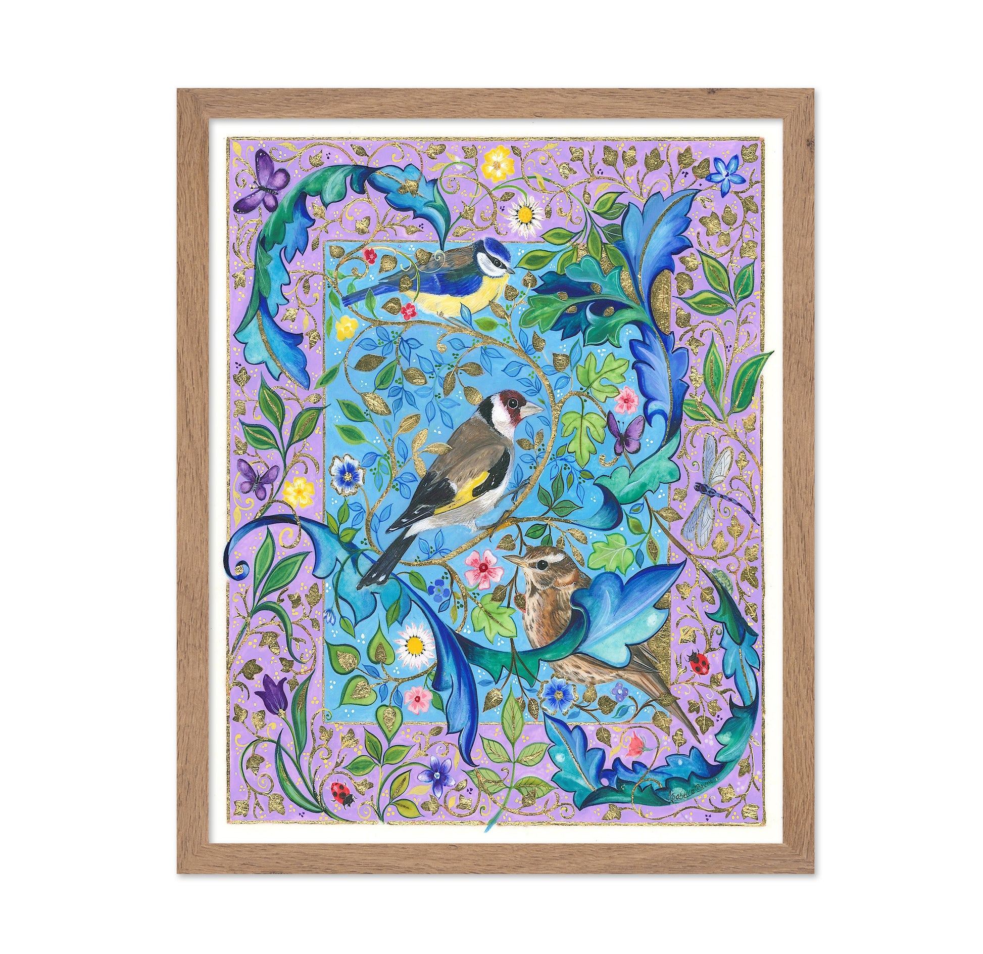 Garden Birds