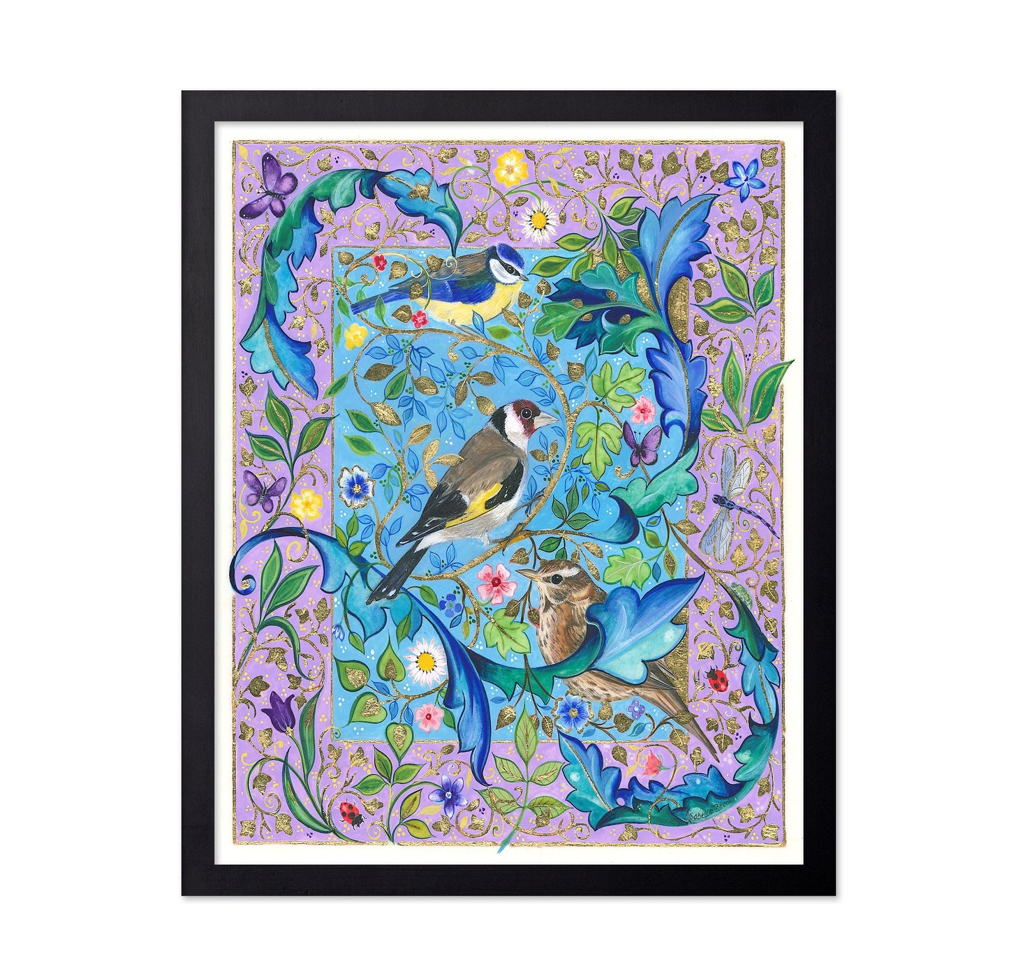 Garden Birds