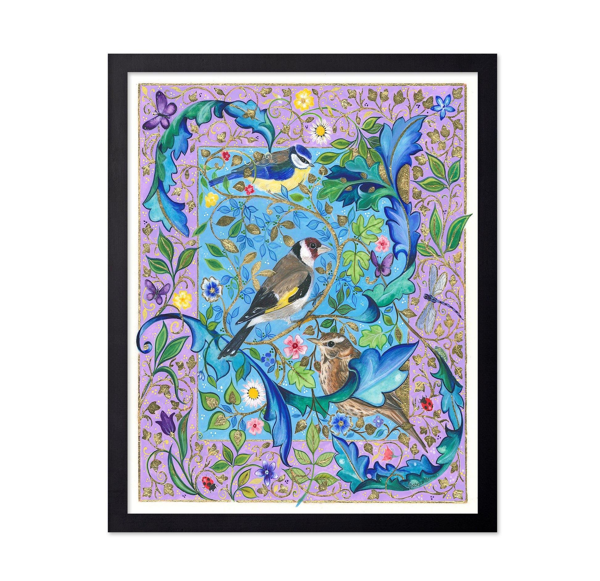 Garden Birds
