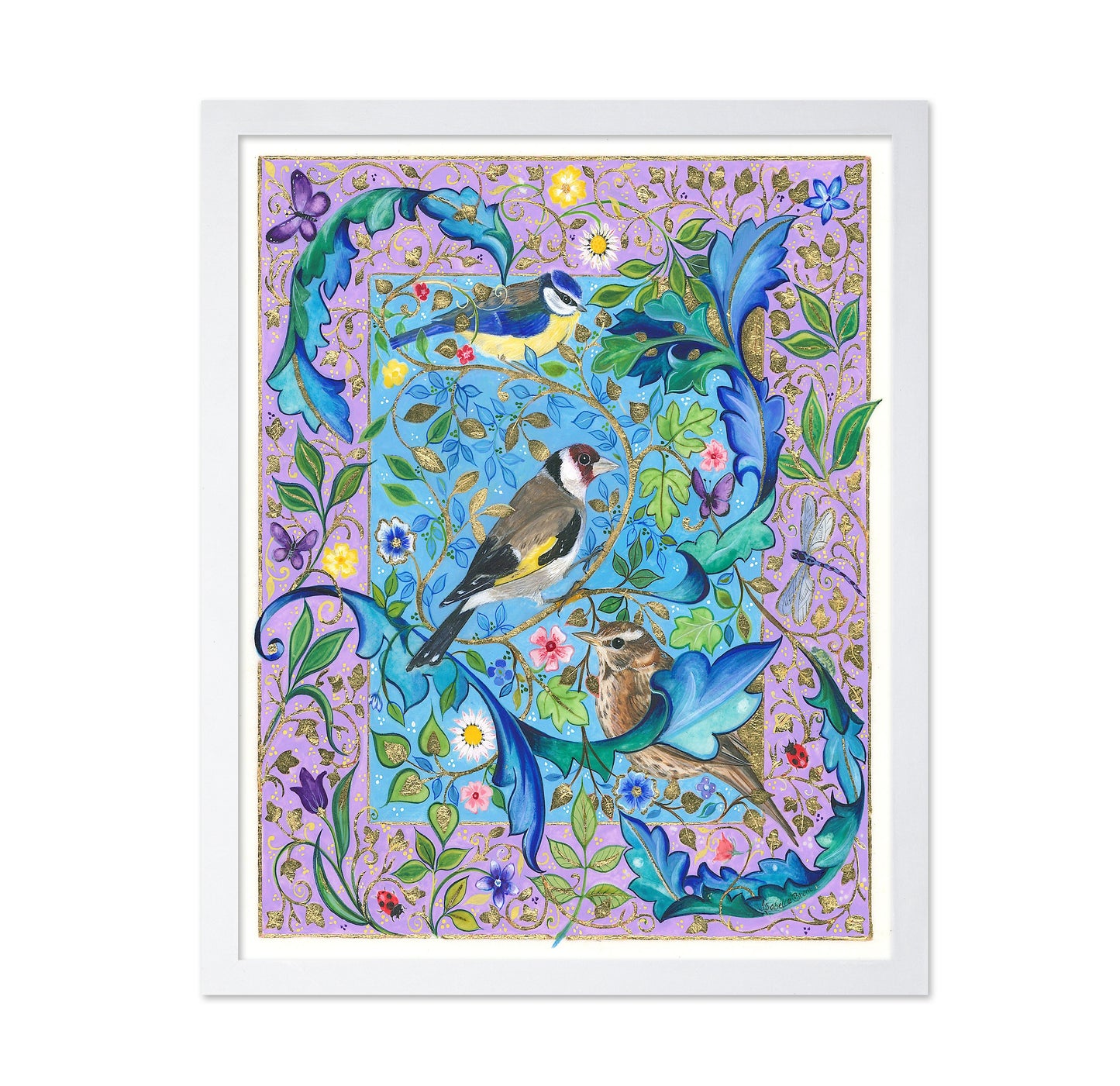 Garden Birds