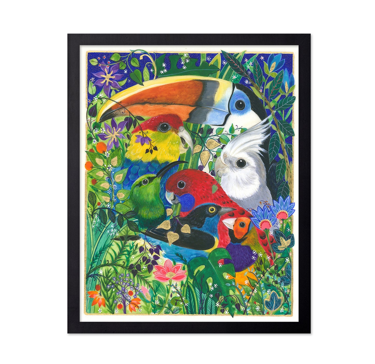Paradise Birds