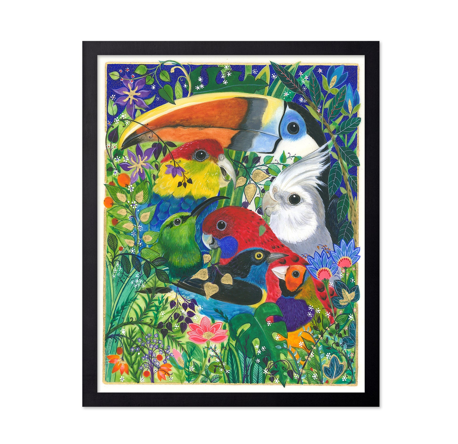 Paradise Birds