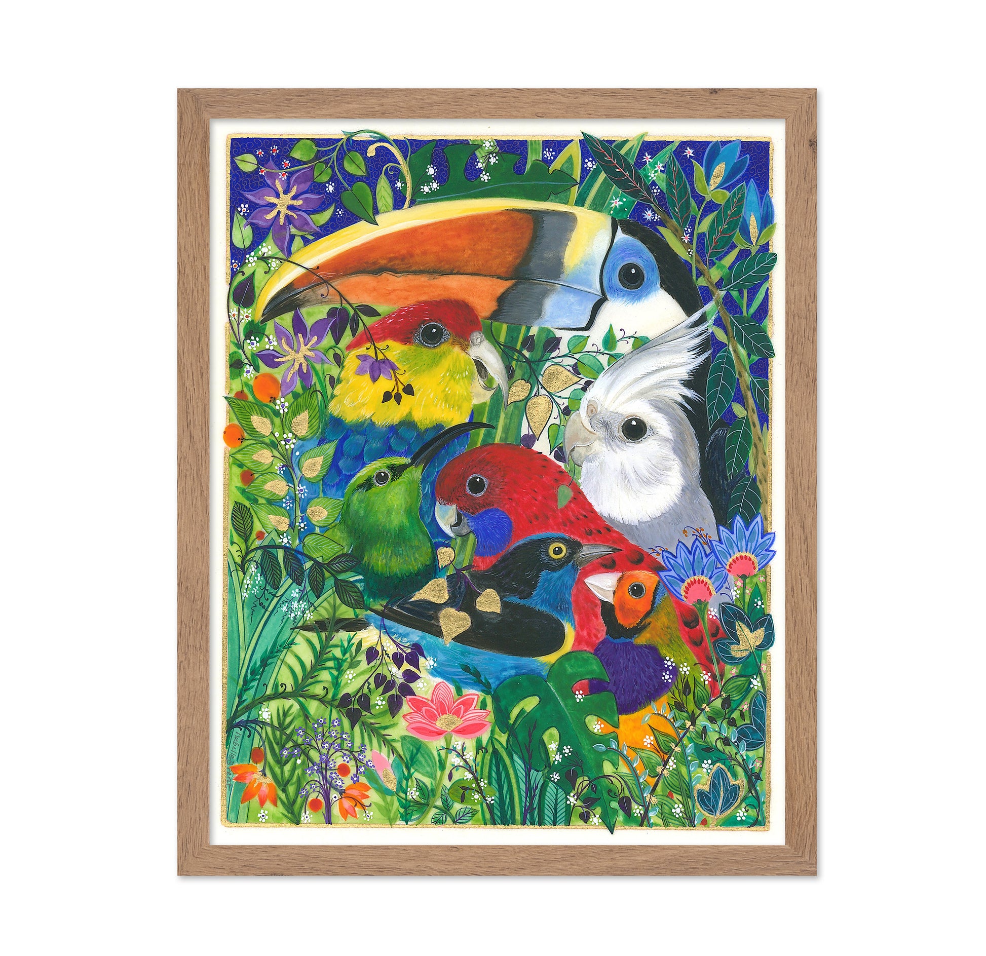 Paradise Birds