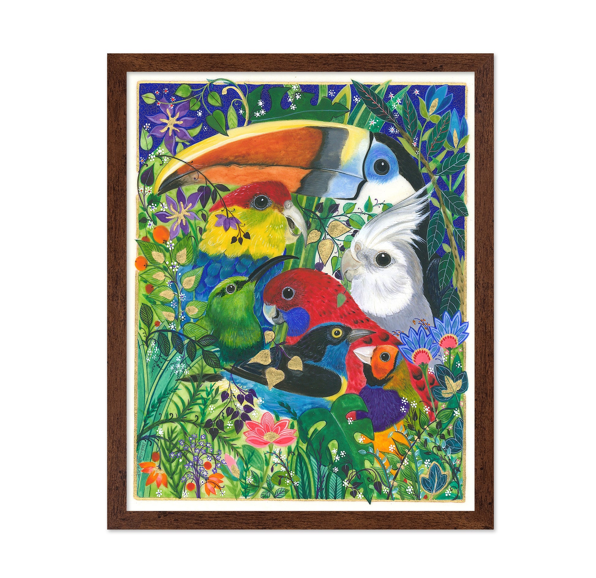 Paradise Birds