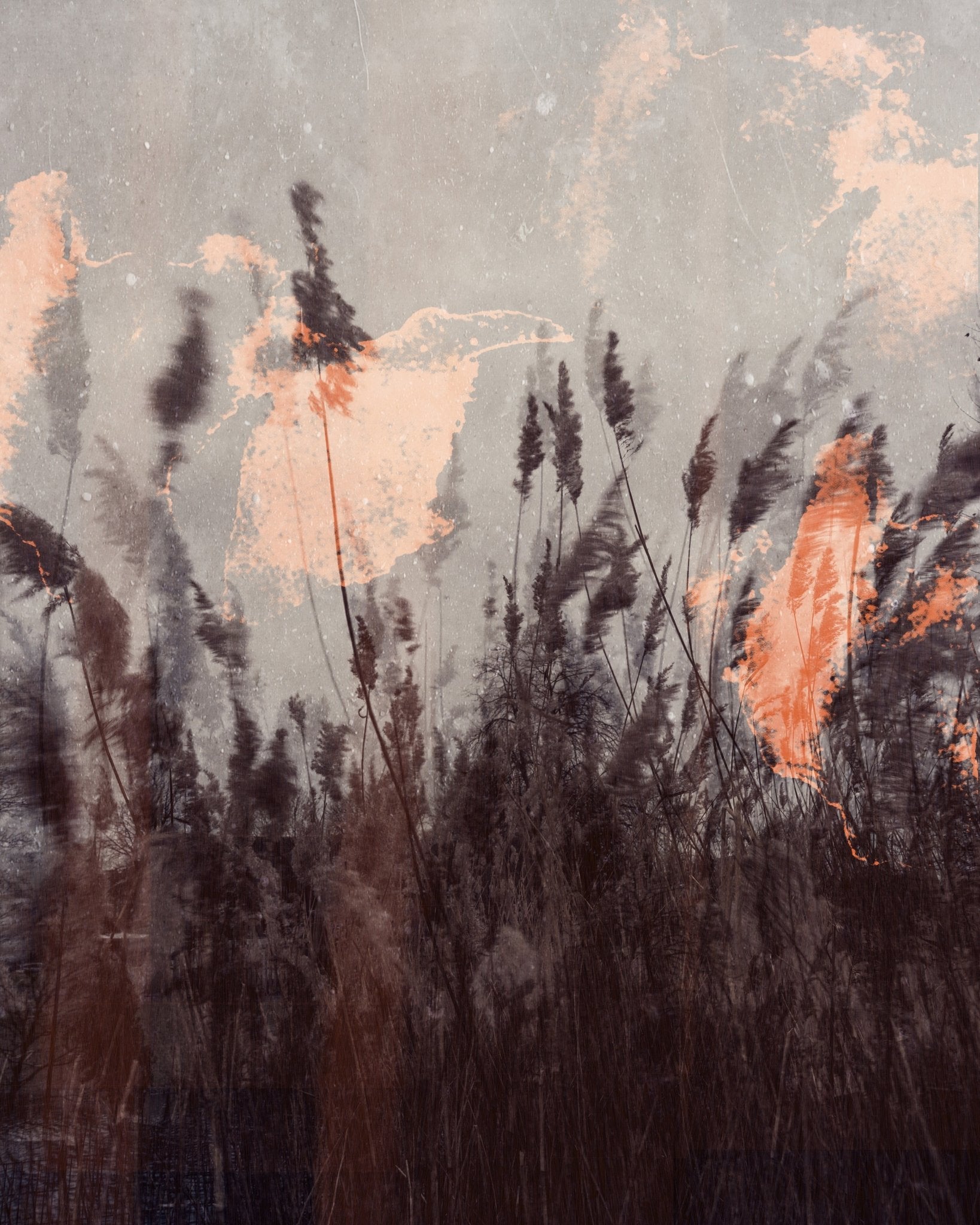 Dancing Grass