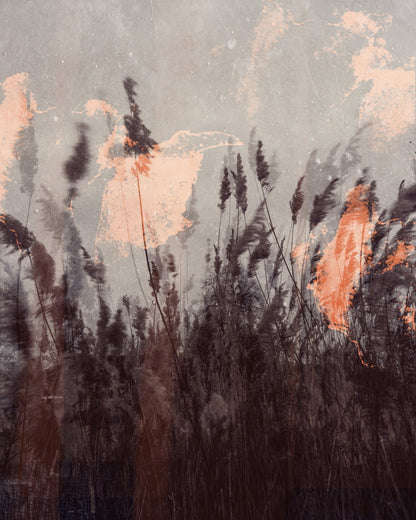 Dancing Grass