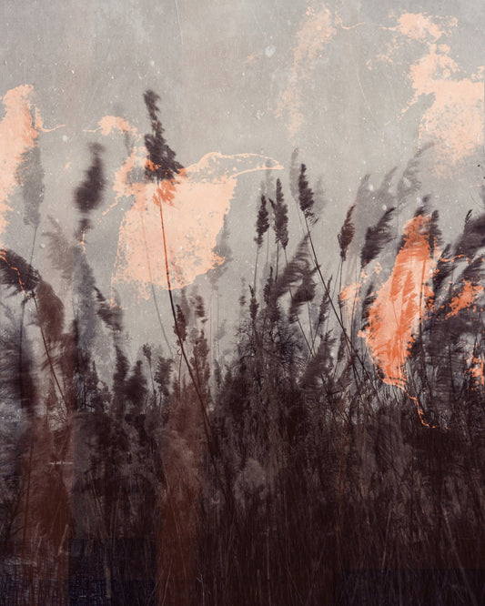 Dancing Grass