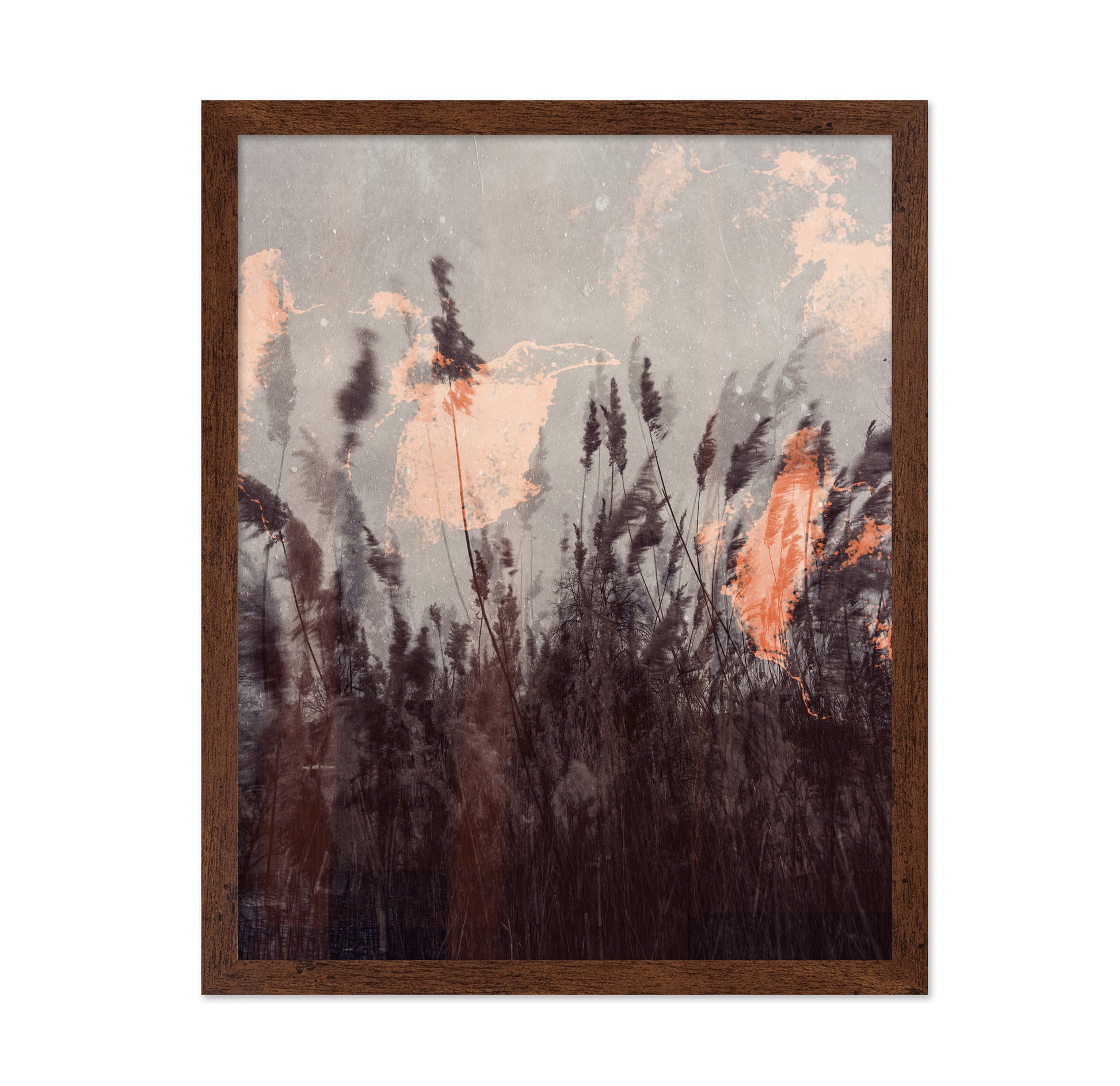 Dancing Grass