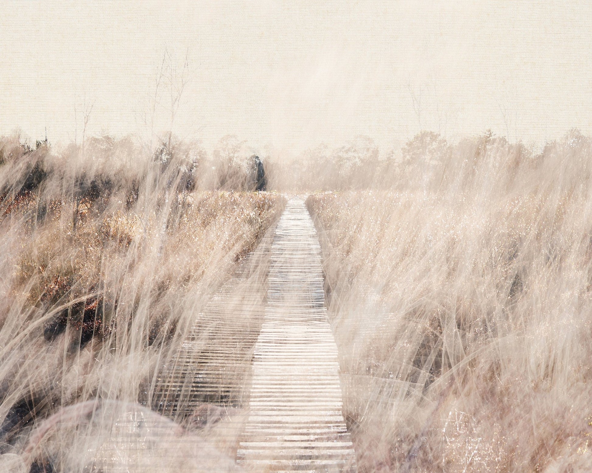 Dreamy Landscape