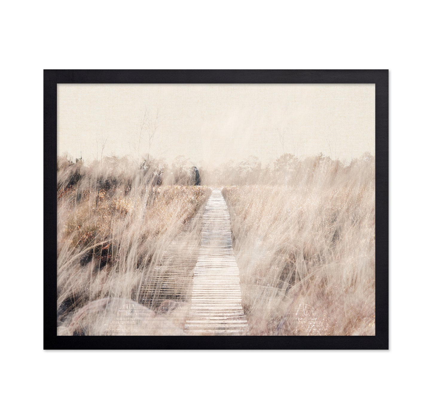 Dreamy Landscape