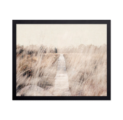 Dreamy Landscape