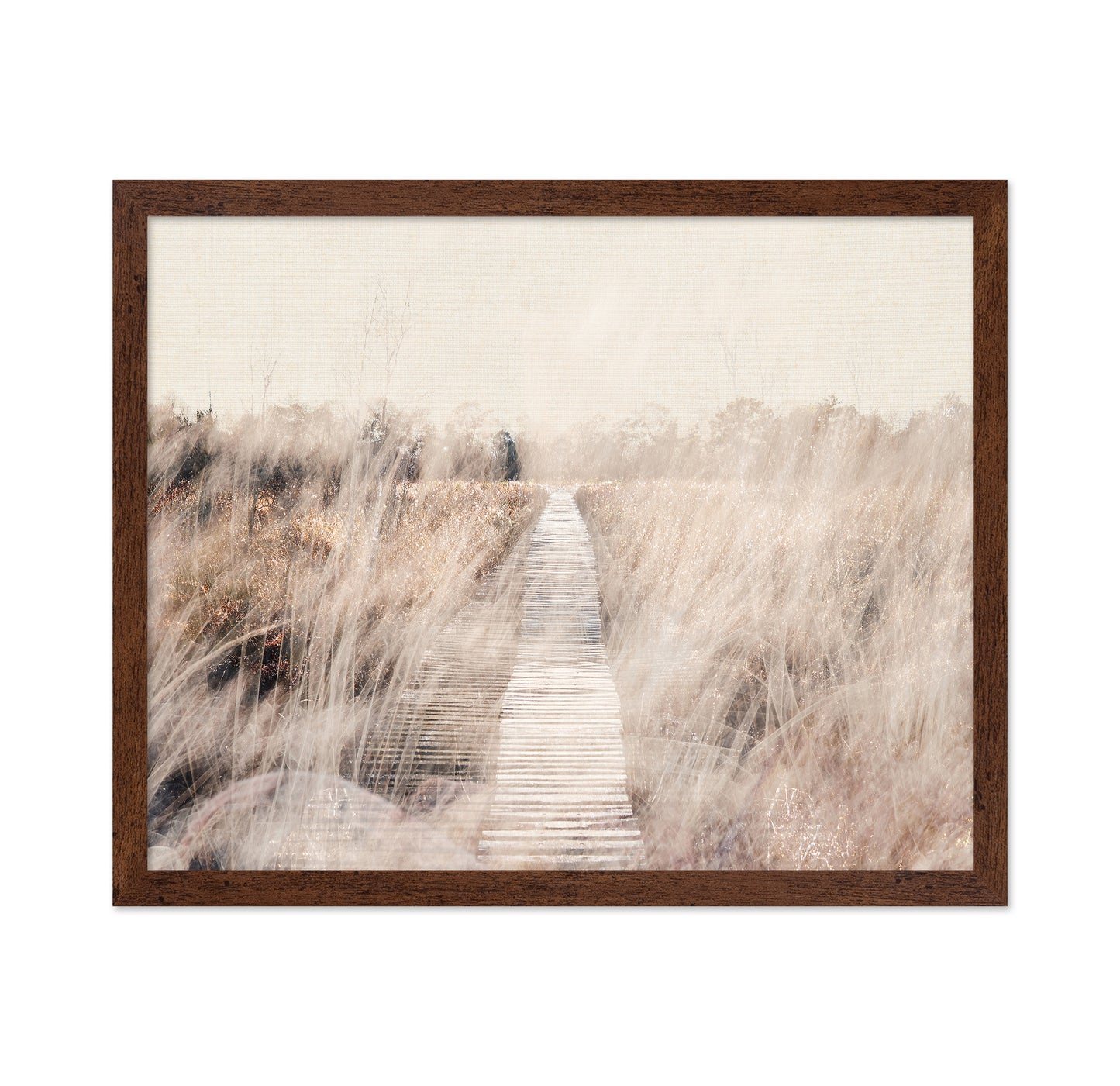 Dreamy Landscape