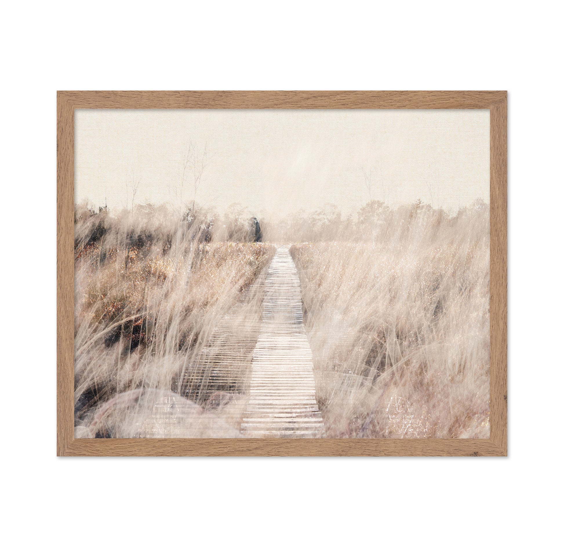Dreamy Landscape
