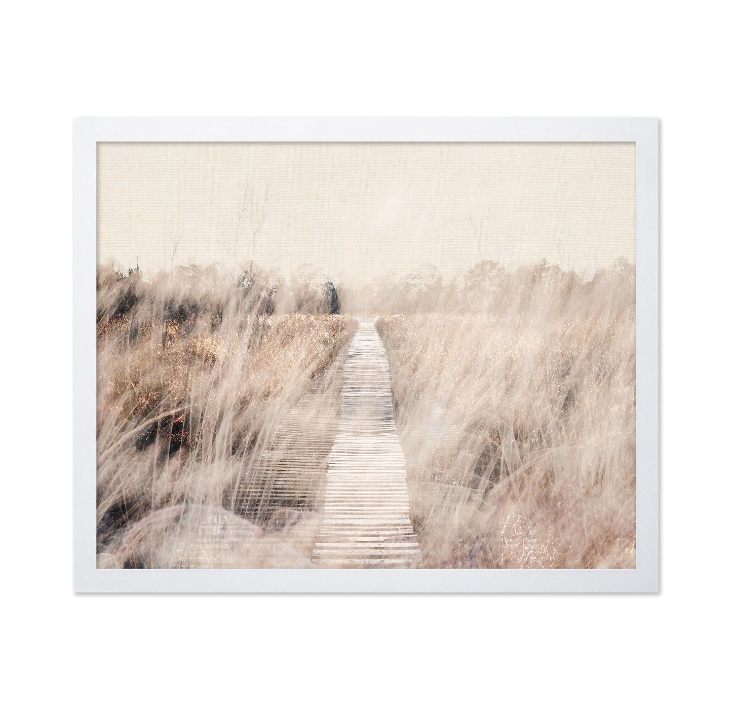Dreamy Landscape