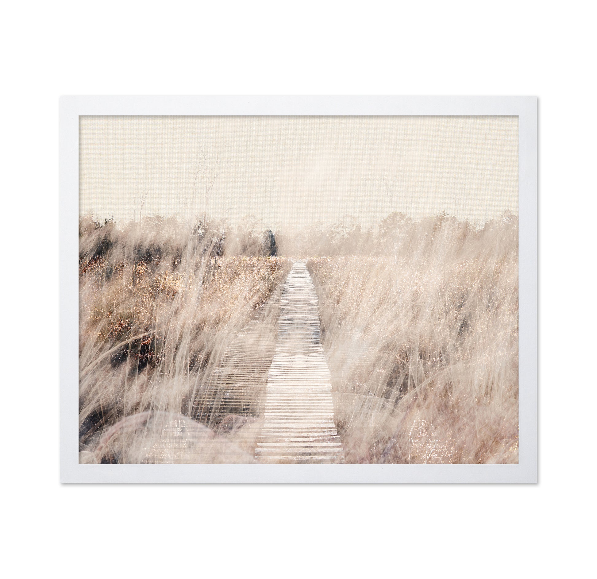 Dreamy Landscape