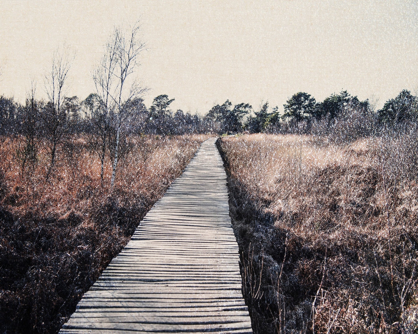 Nature Reserve
