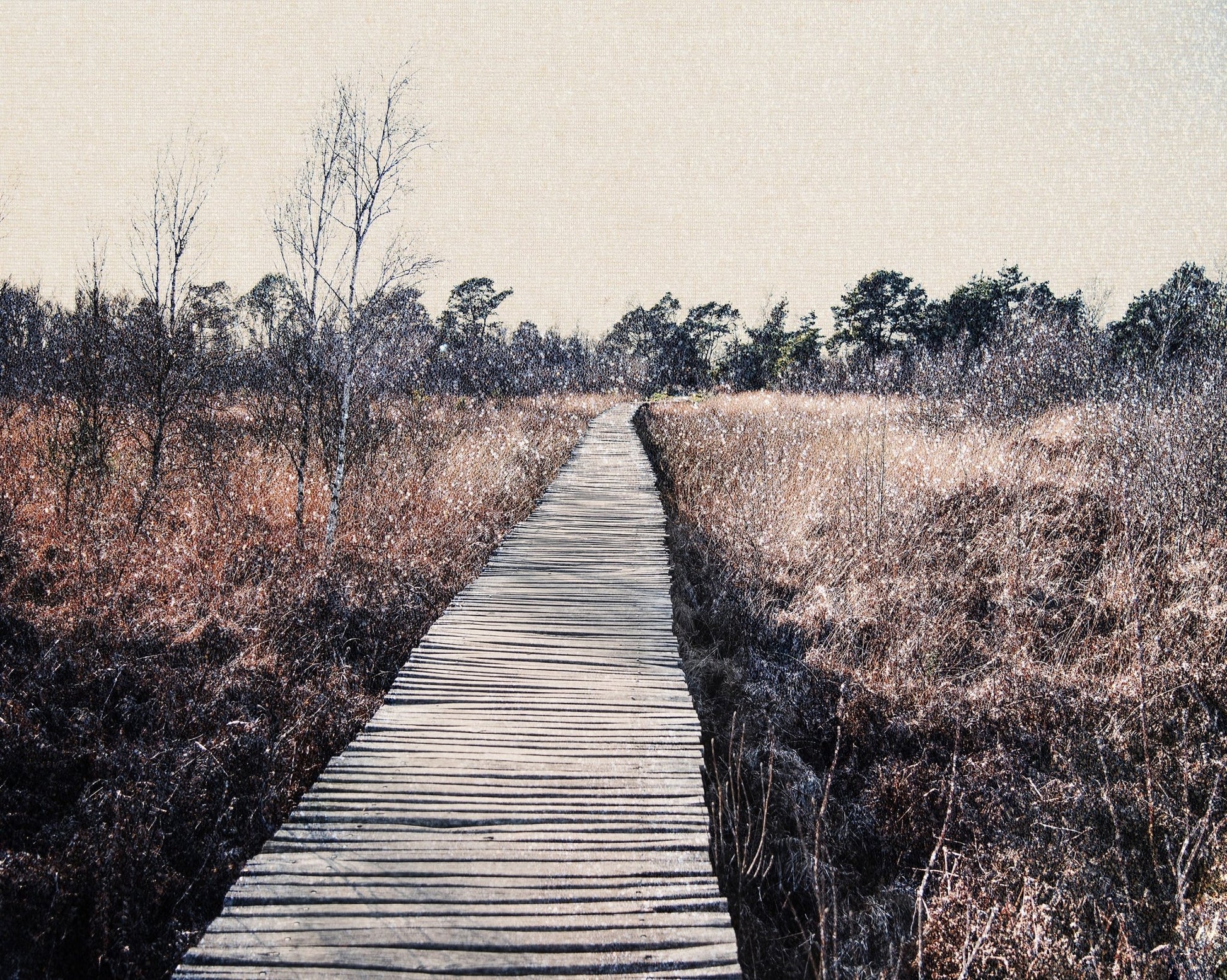 Nature Reserve
