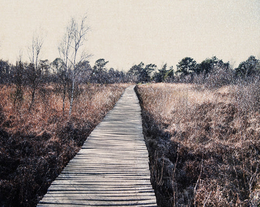 Nature Reserve