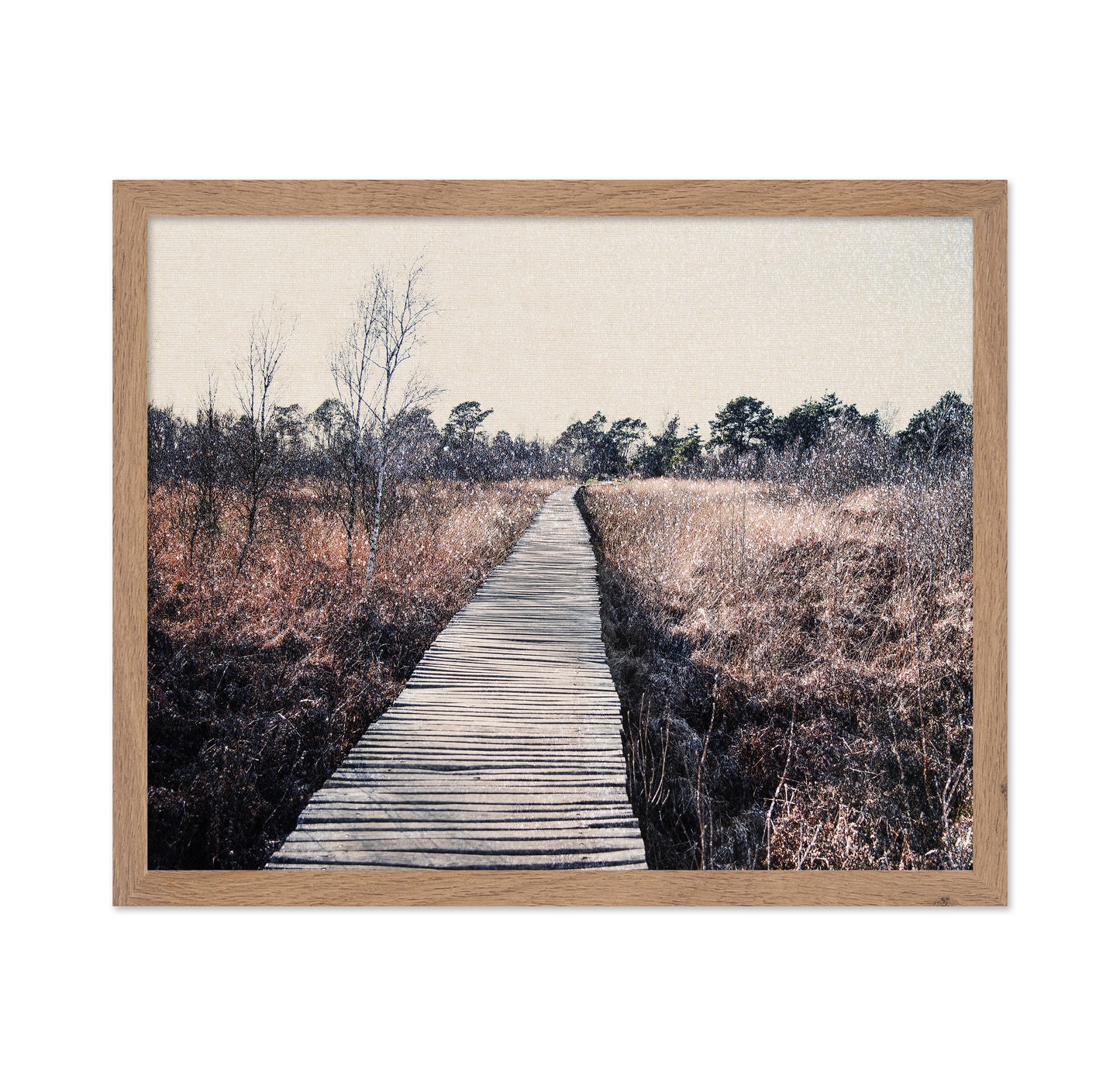 Nature Reserve