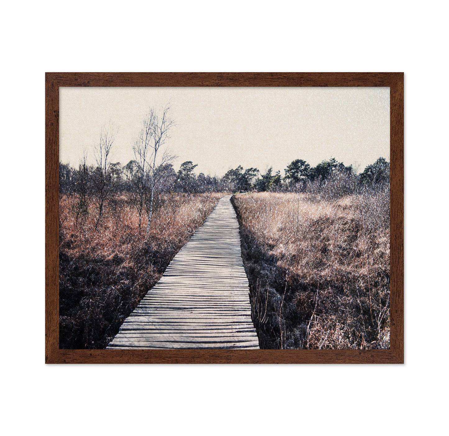 Nature Reserve
