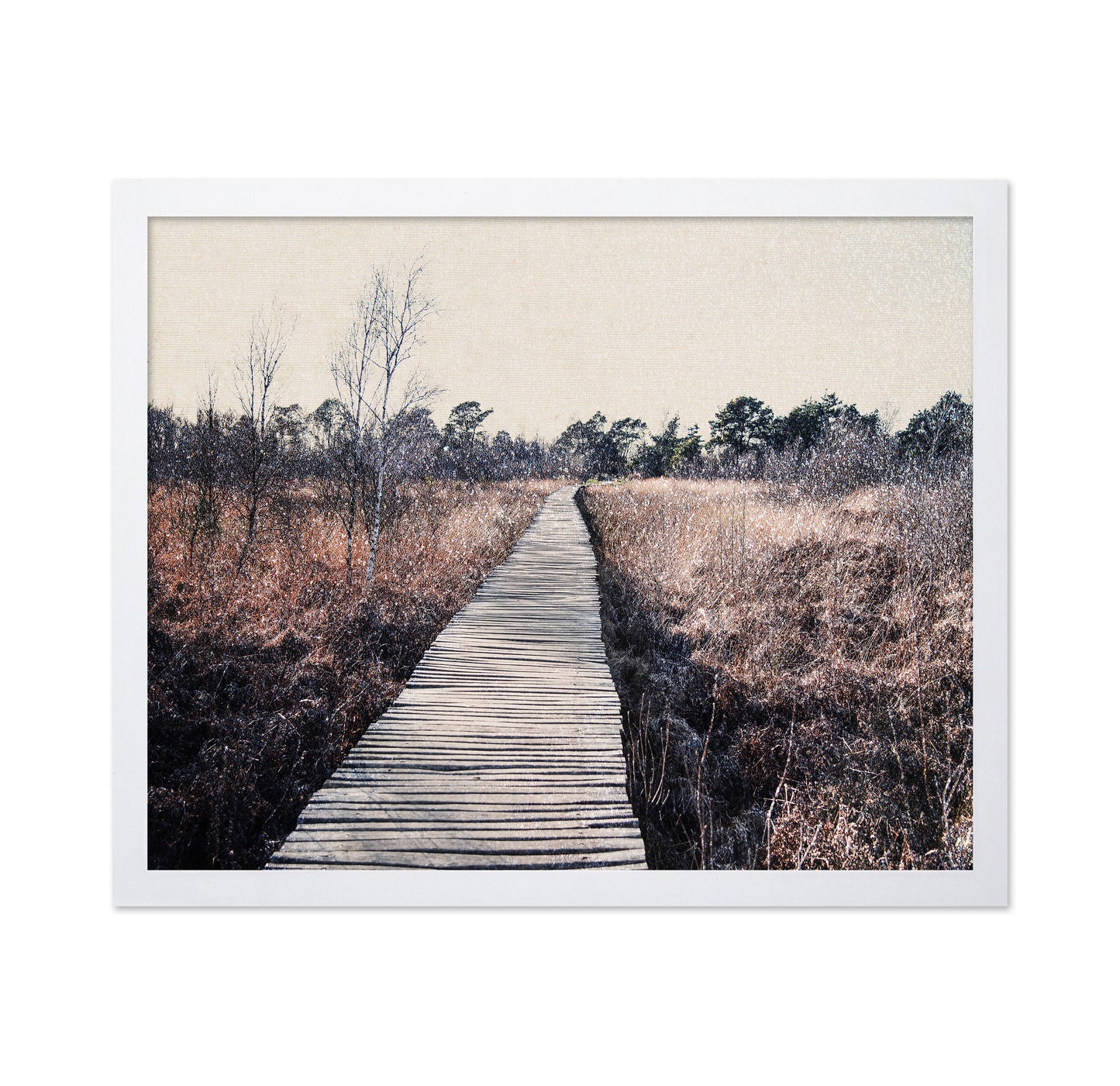 Nature Reserve