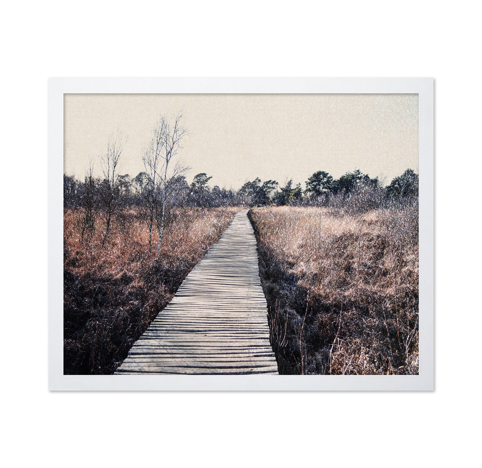 Nature Reserve
