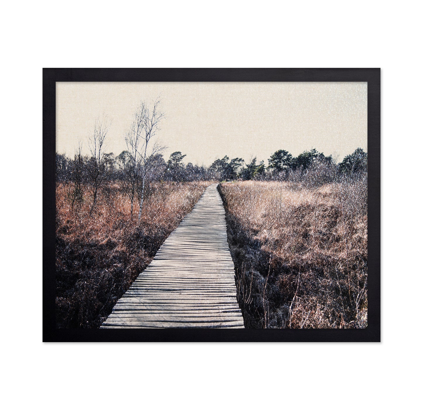 Nature Reserve