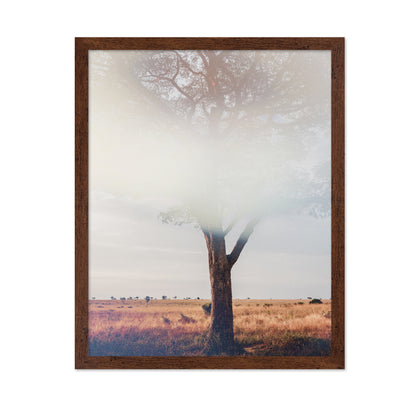 Tree In Landscape