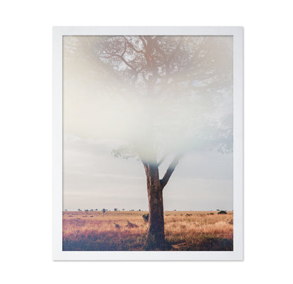 Tree In Landscape