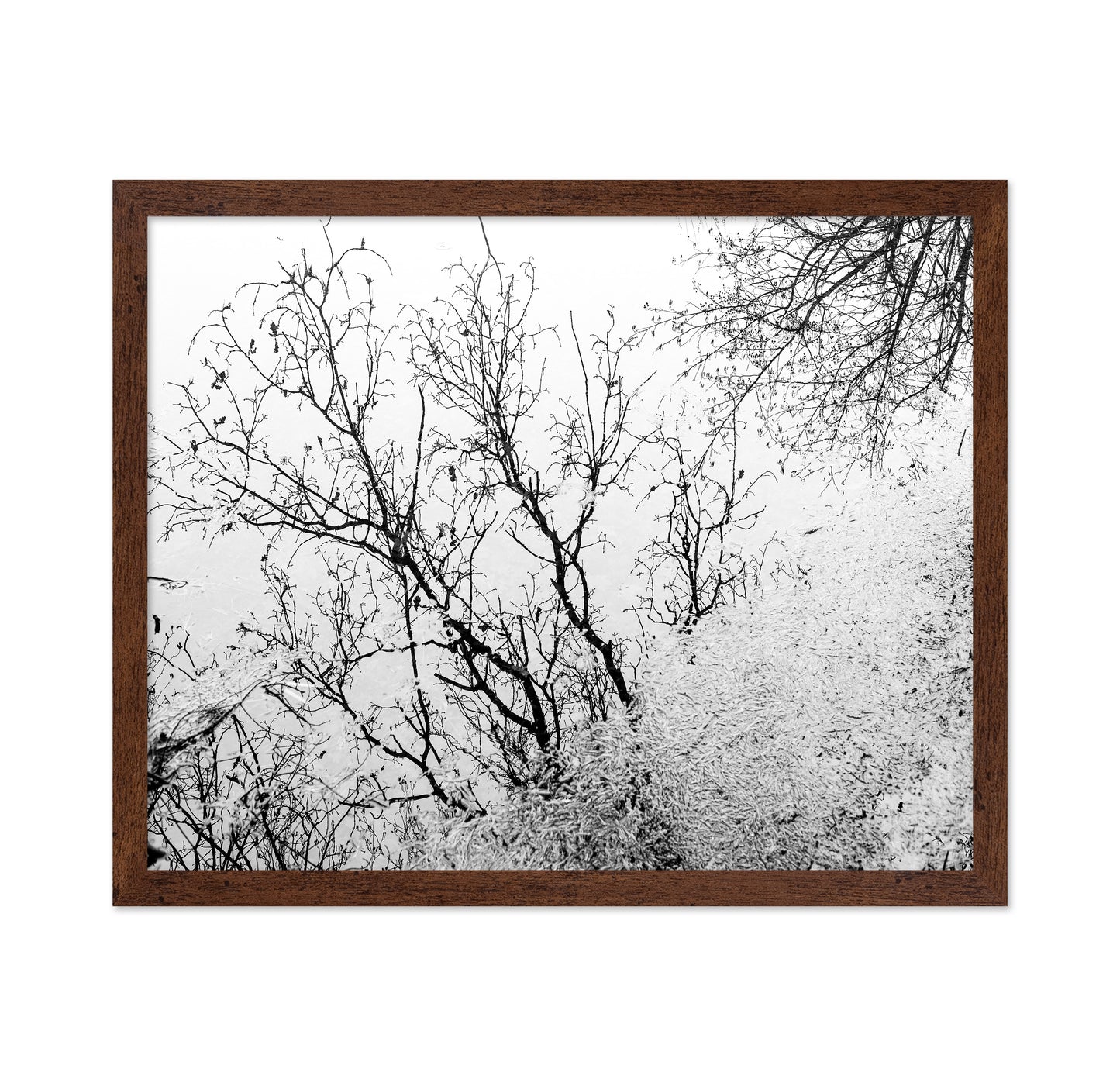 Tree Reflection