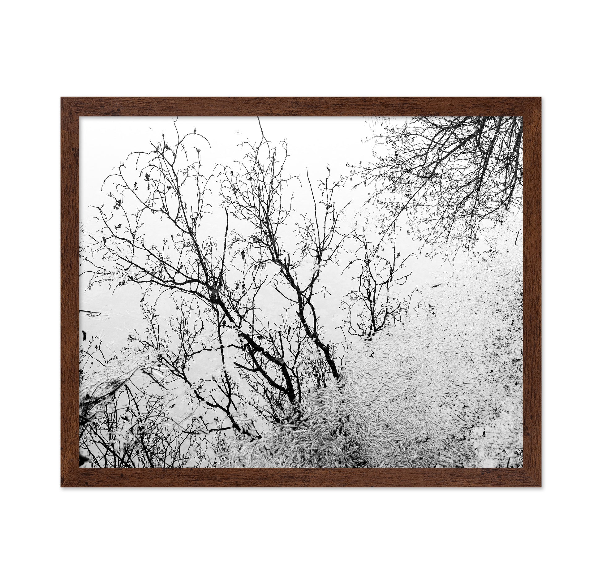 Tree Reflection