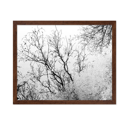 Tree Reflection