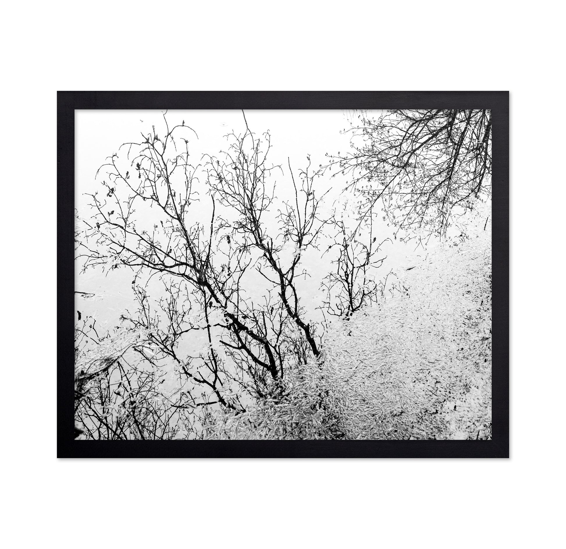 Tree Reflection