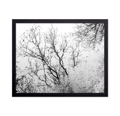 Tree Reflection