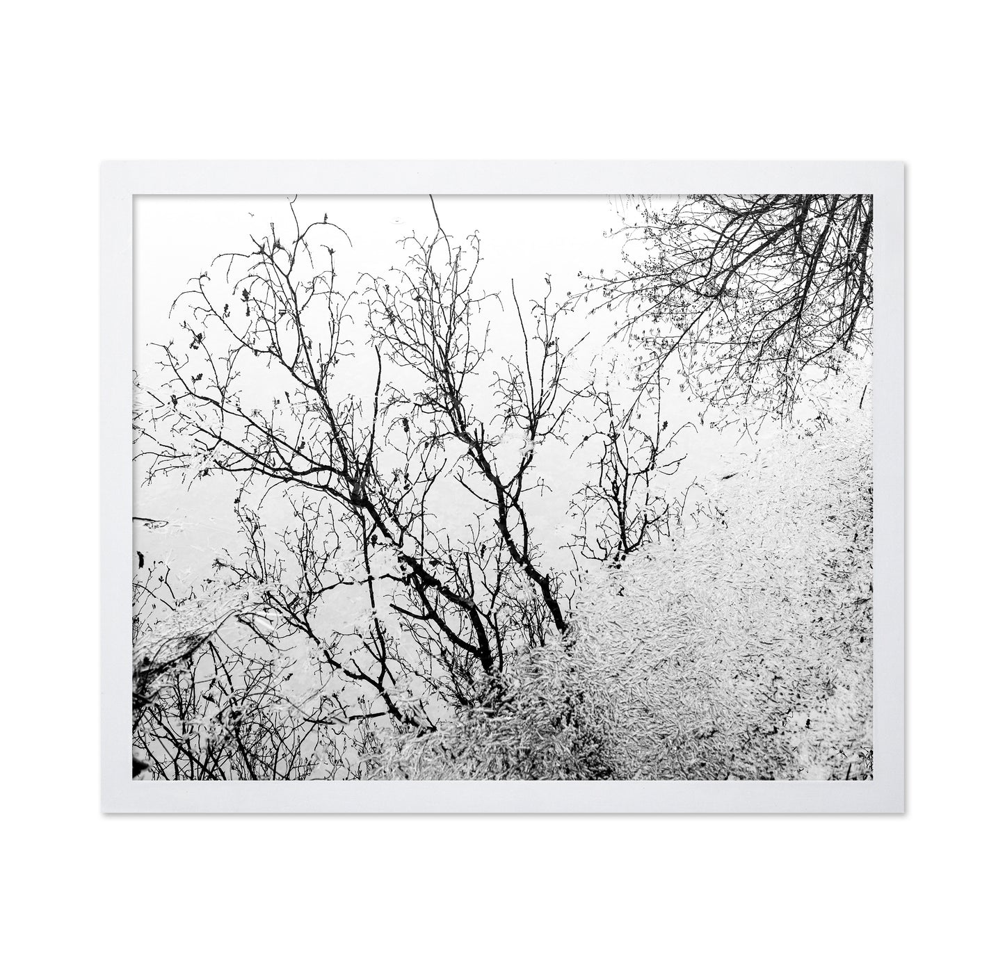 Tree Reflection
