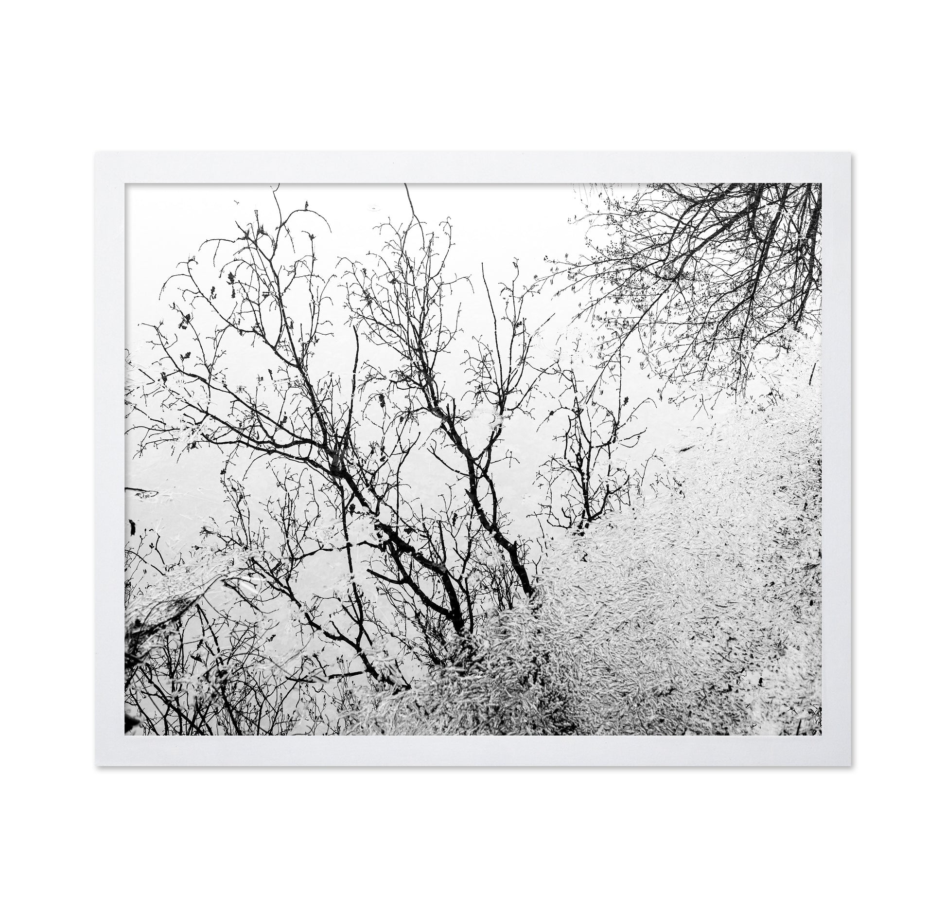 Tree Reflection