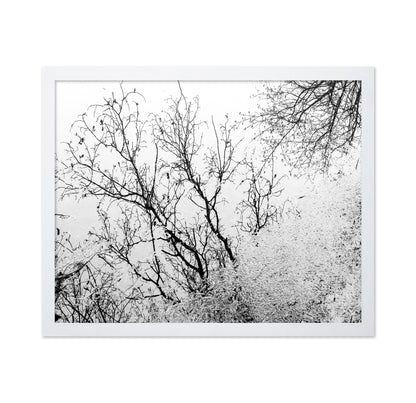Tree Reflection