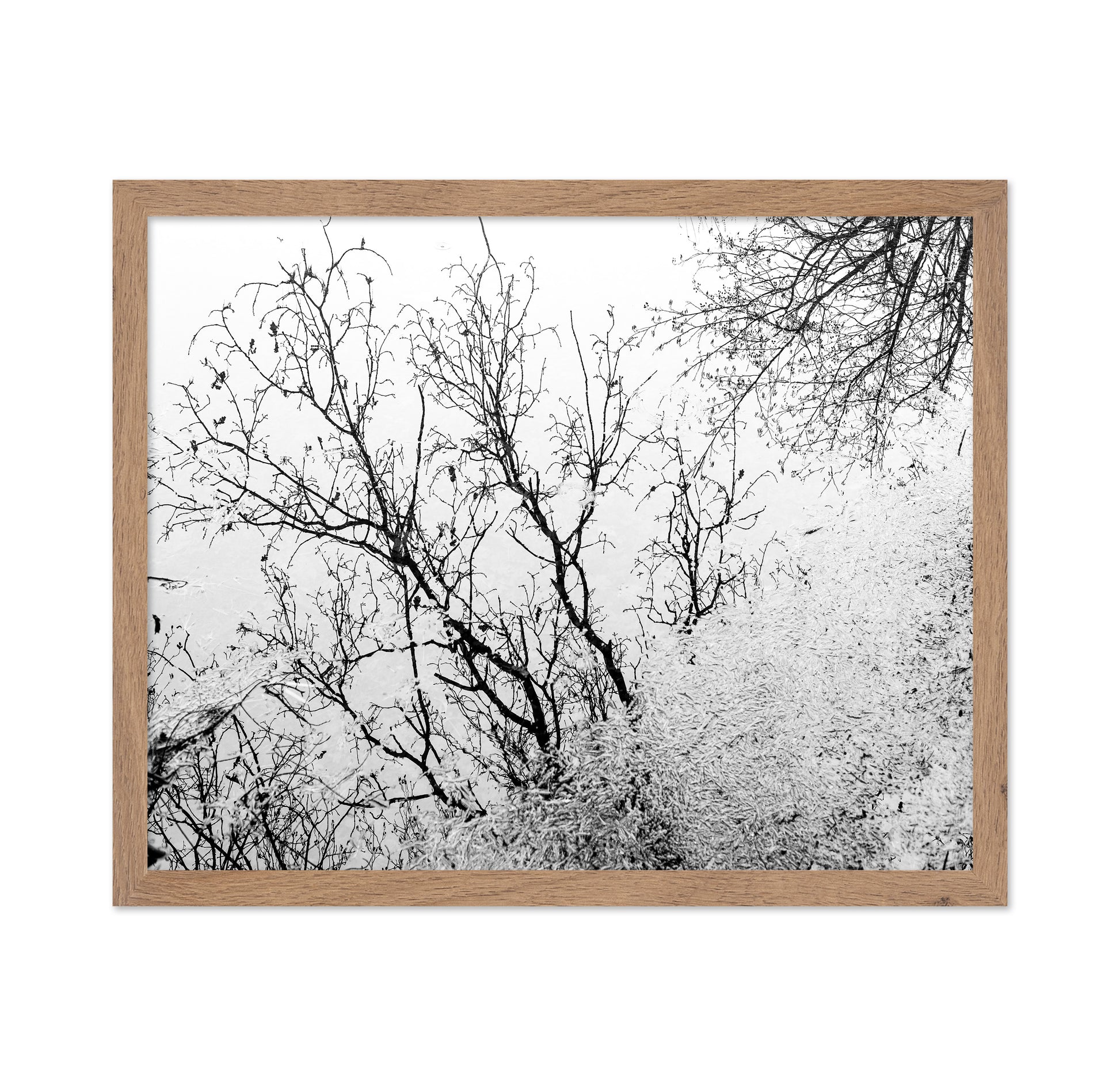 Tree Reflection