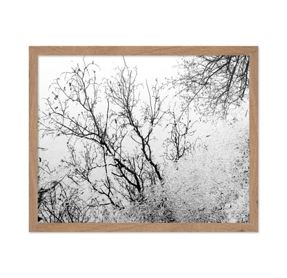 Tree Reflection