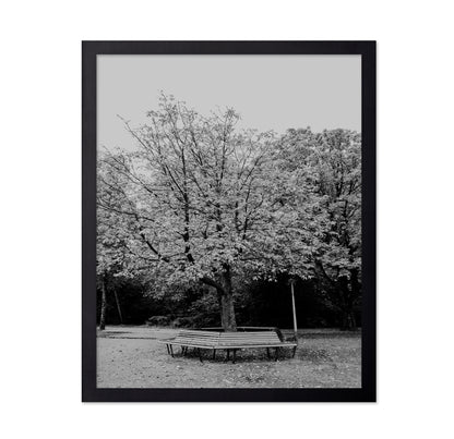 Vondel Park Amsterdam