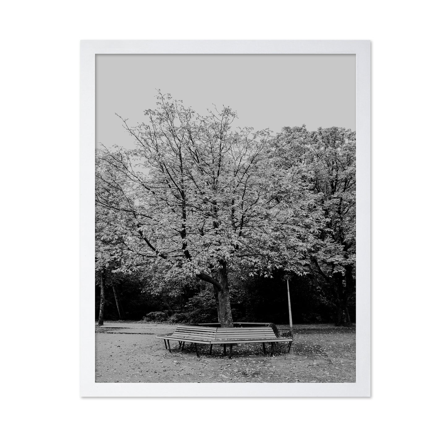 Vondel Park Amsterdam