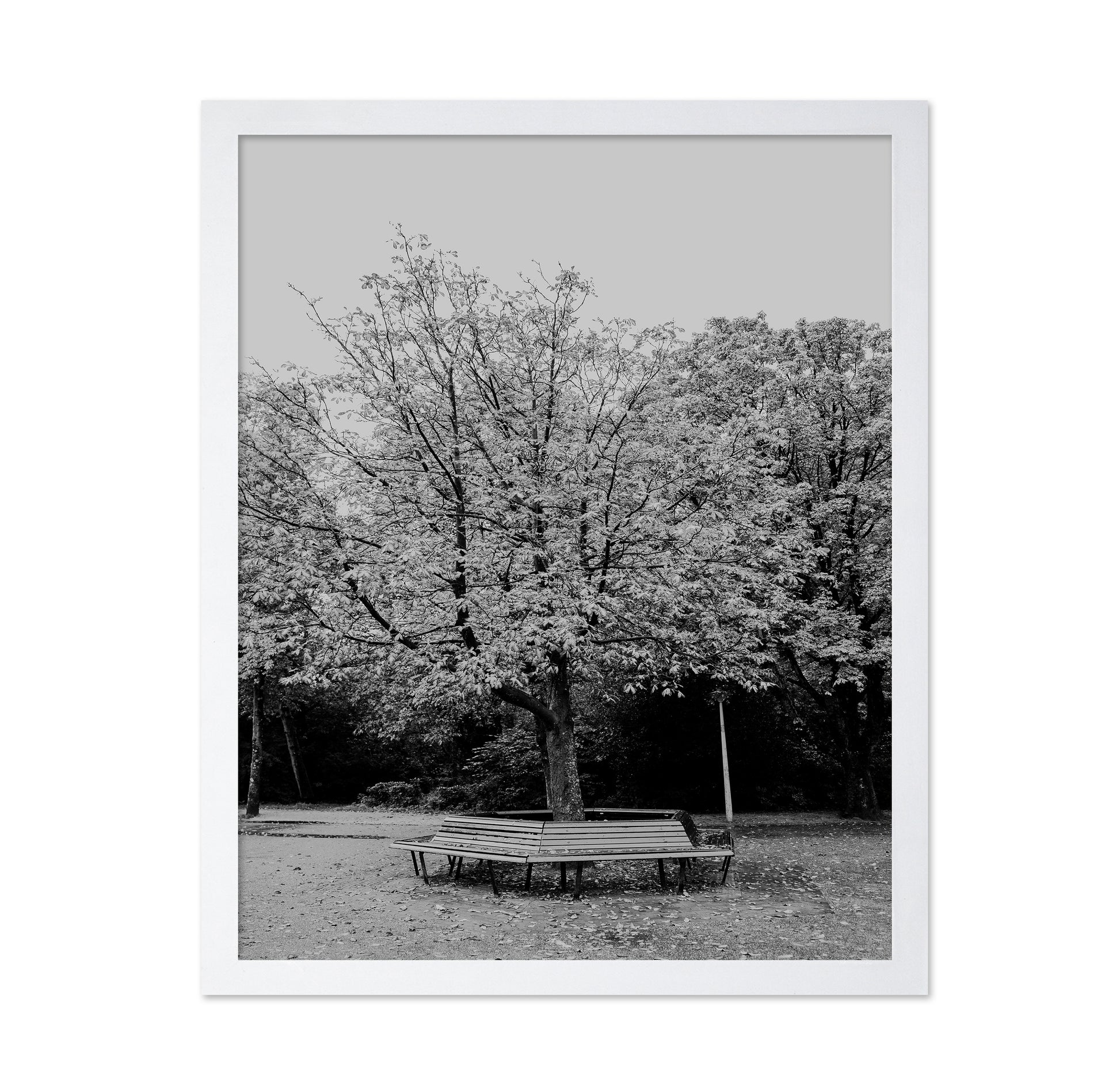 Vondel Park Amsterdam