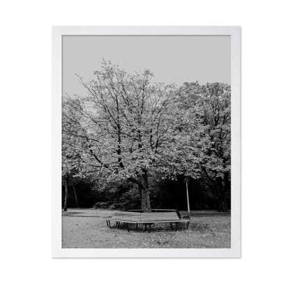 Vondel Park Amsterdam