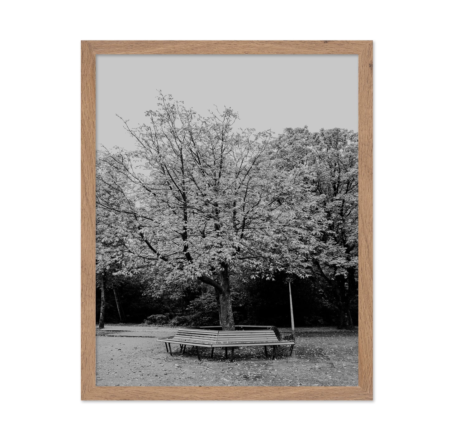 Vondel Park Amsterdam