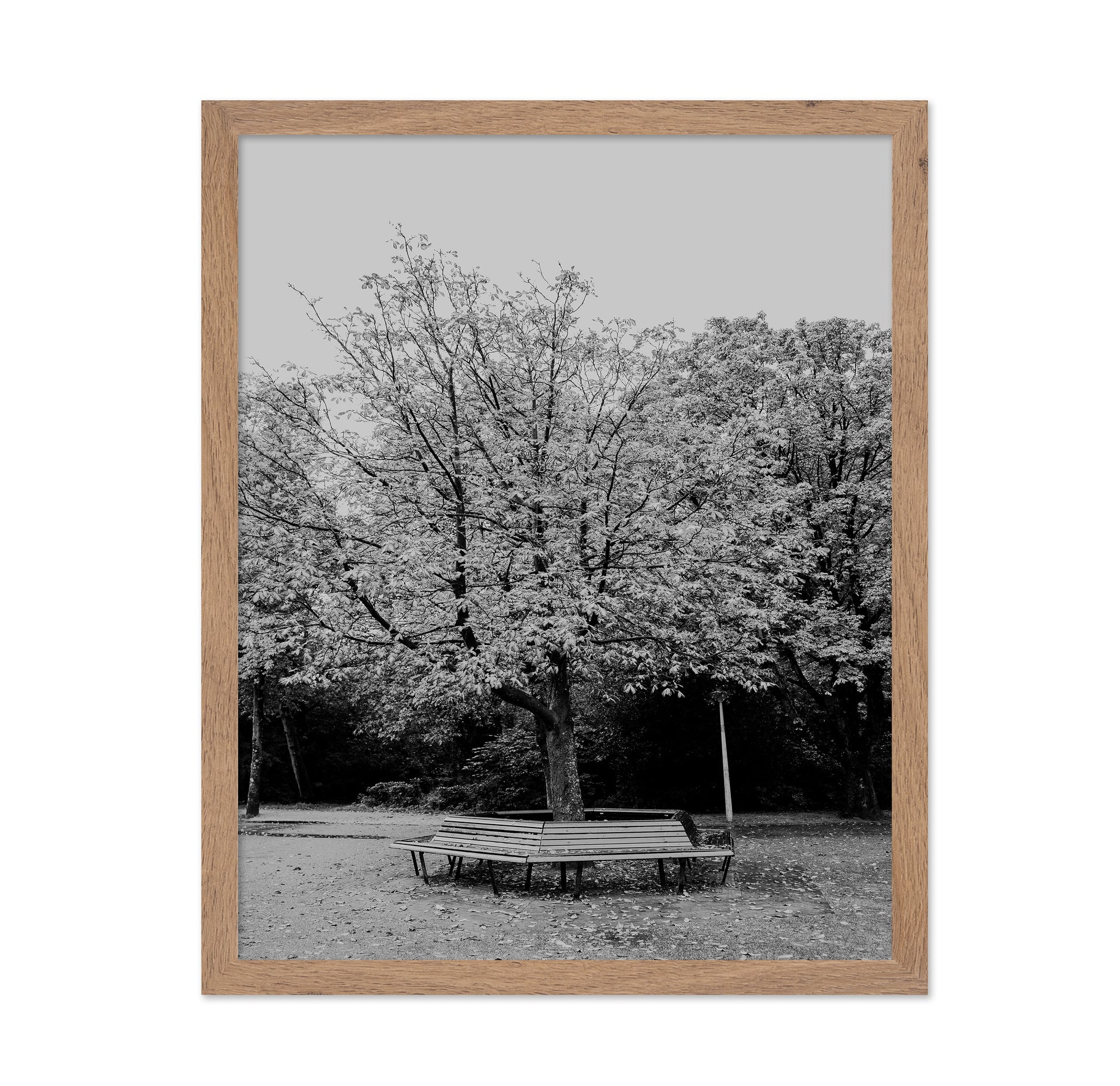 Vondel Park Amsterdam