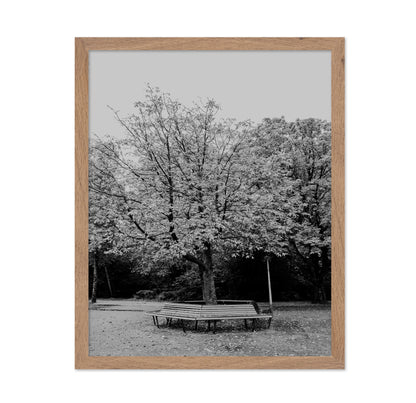 Vondel Park Amsterdam