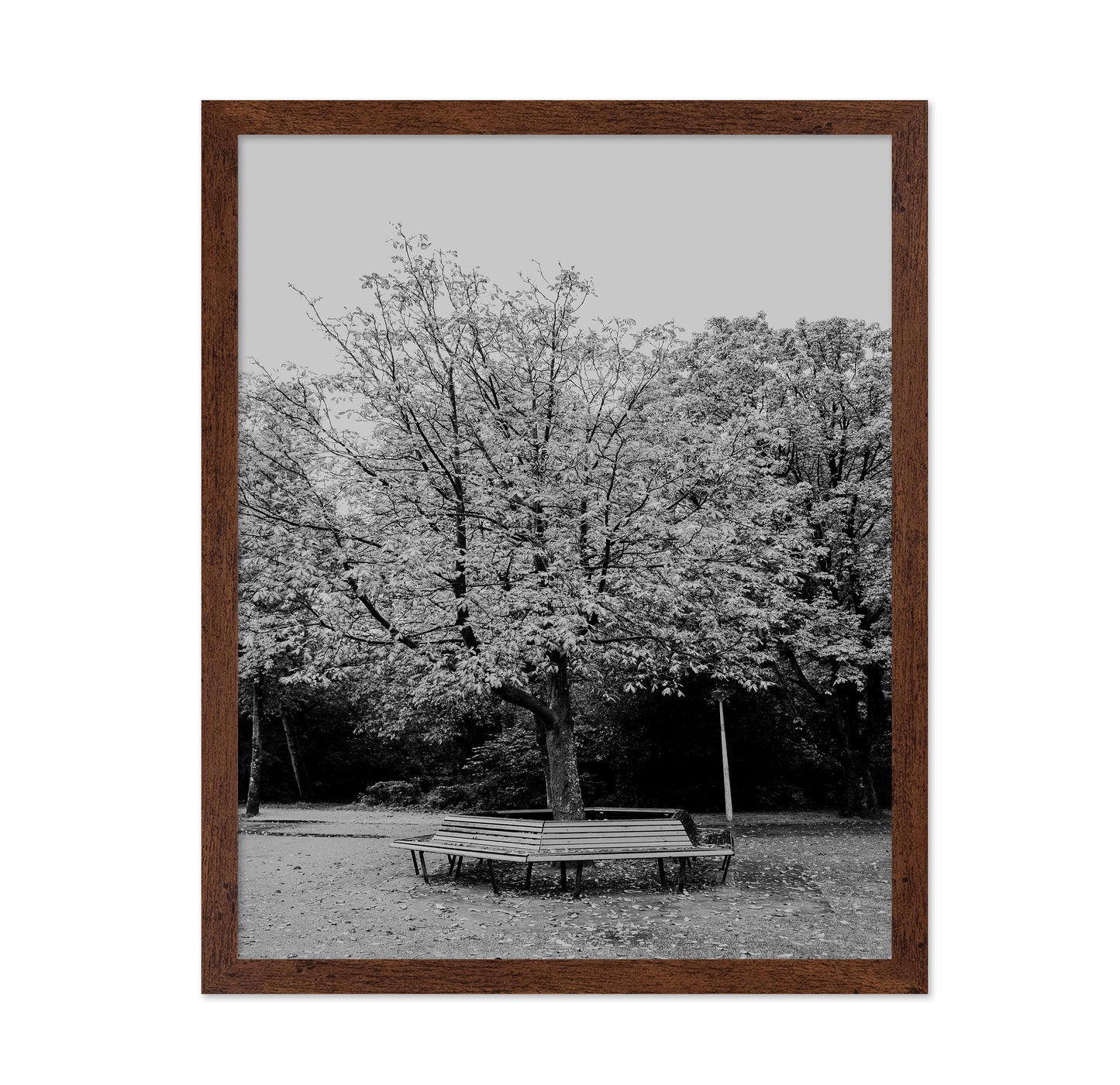 Vondel Park Amsterdam