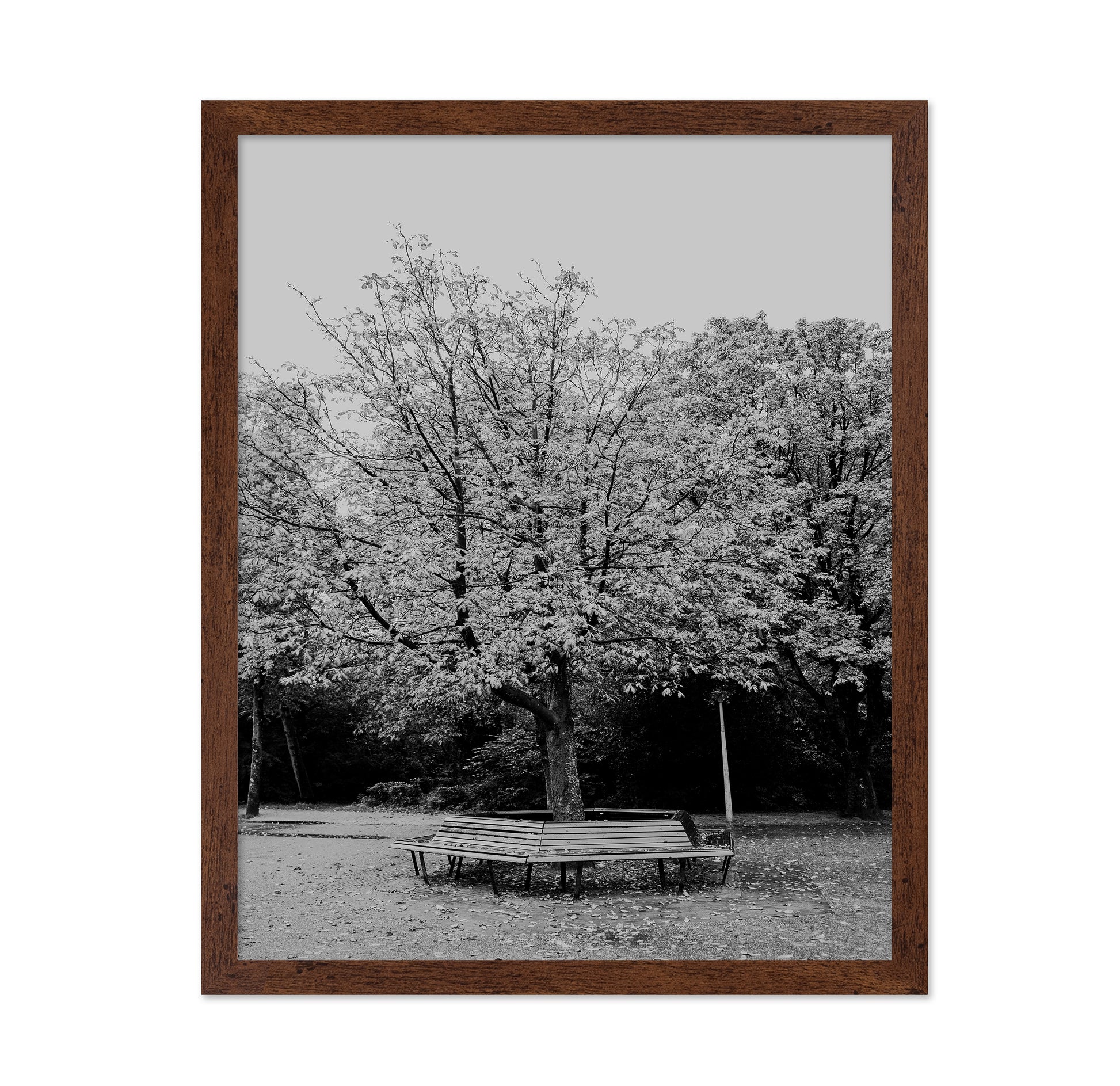 Vondel Park Amsterdam